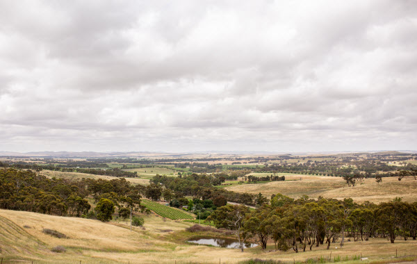 Polish Hill River